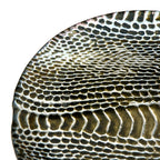 Set de 4 Assiettes à Dessert Motif Serpent 21,5 cm - Céramique Premium