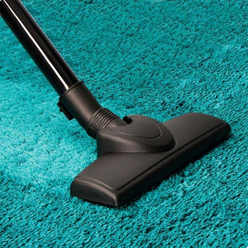 Aspirateur Multi-Cyclonique EDM 700W - Compact et Puissant 2L