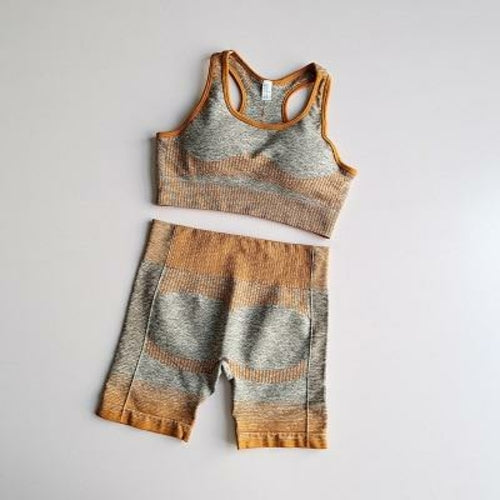 Vêtements de gym pour femmes à manches longues