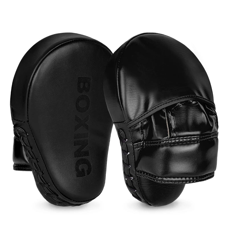 Pao de Boxe, Boxe Thai, Boxe , MMA