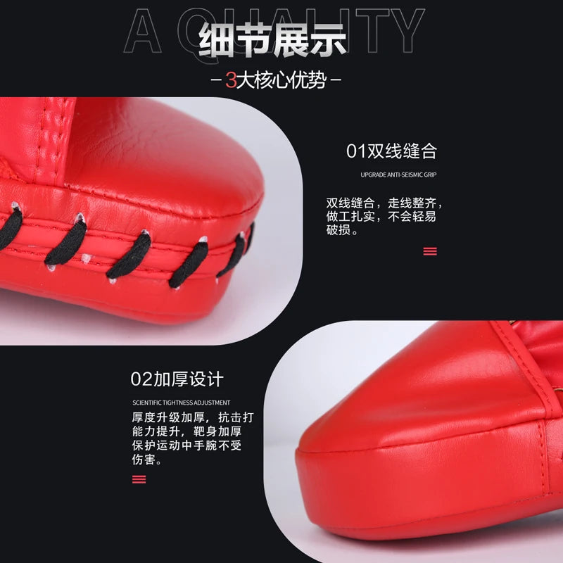 Pao de Boxe, Boxe Thai, Boxe , MMA