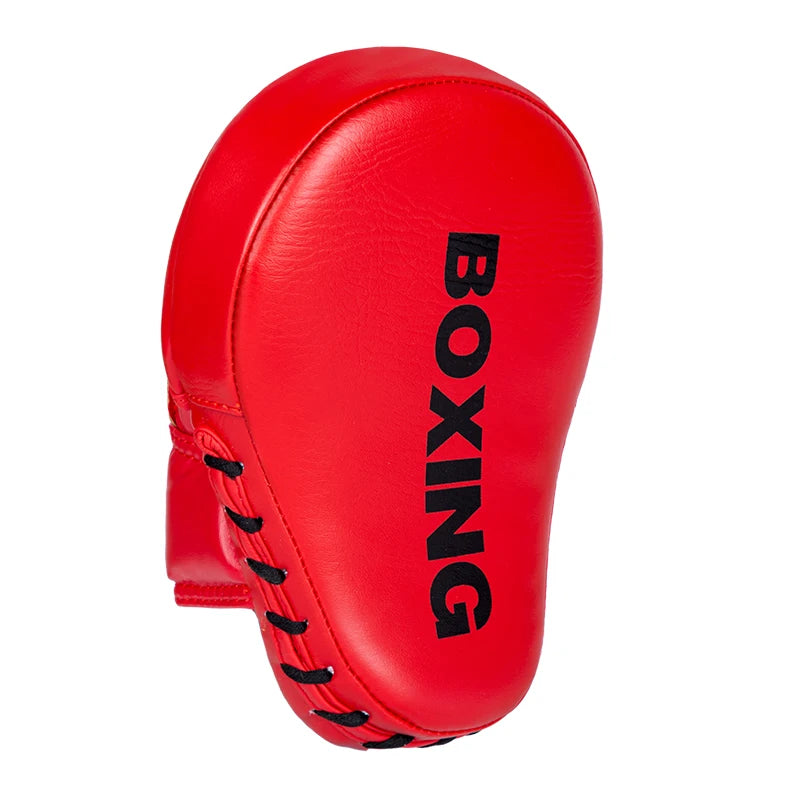 Pao de Boxe, Boxe Thai, Boxe , MMA