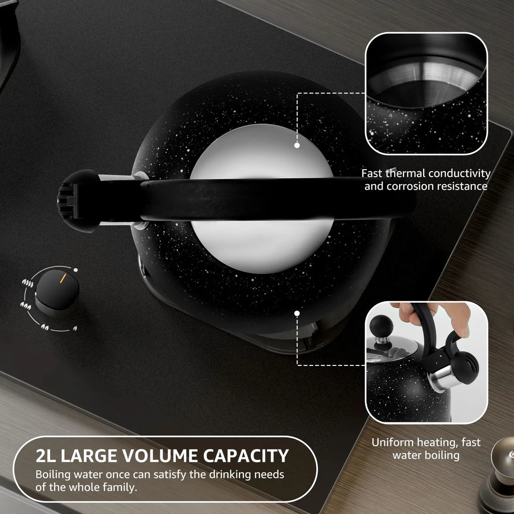 Bouilloire Sifflante 2L en Acier Inoxydable - Poignée Ergonomique & Ébullition Rapide