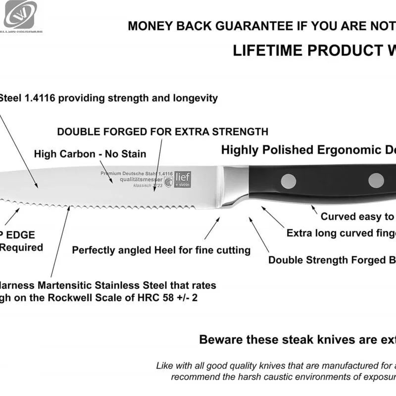 Ensemble de Couteaux à Steak Élégants en Acier Inoxydable