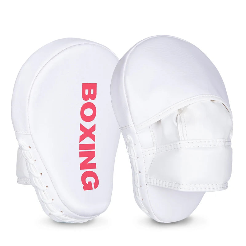 Pao de Boxe, Boxe Thai, Boxe , MMA