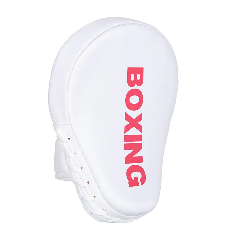 Pao de Boxe, Boxe Thai, Boxe , MMA