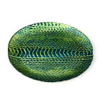 Set de 4 Assiettes à Dessert Motif Serpent 21,5 cm - Céramique Premium