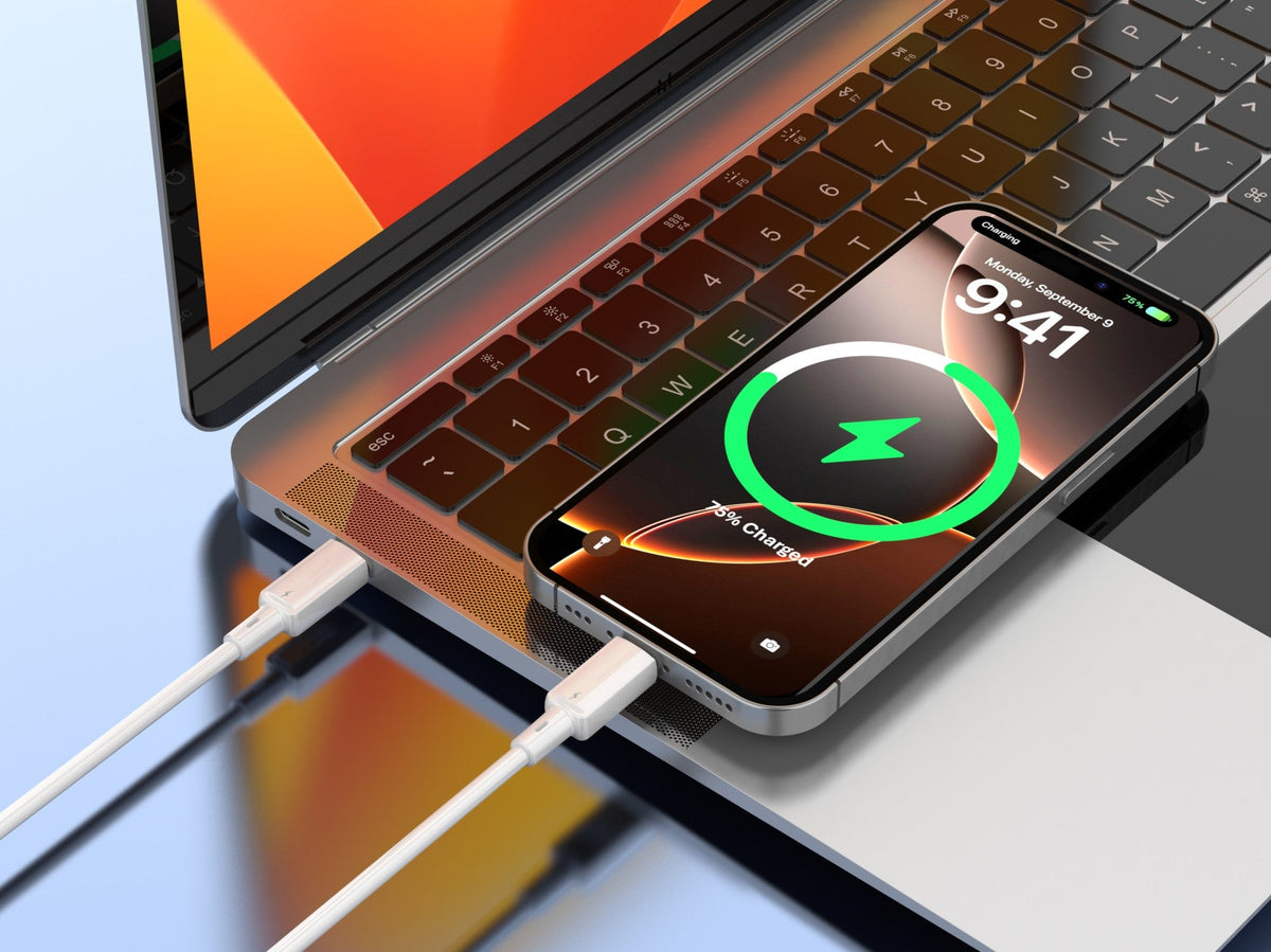 Câble USB-C vers USB-C 1m 60W – Charge Rapide & Transfert de Données | TECHANCY TB1803